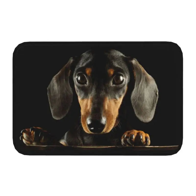 Navak Carpet Custom Fußmatte mit süßem französischem Bulldoggen-Motiv, rutschfest, für Eingangsbereich, Küche, Badezimmer, Tür, Bodenmatte, Garage, Teppich, Fußpolster