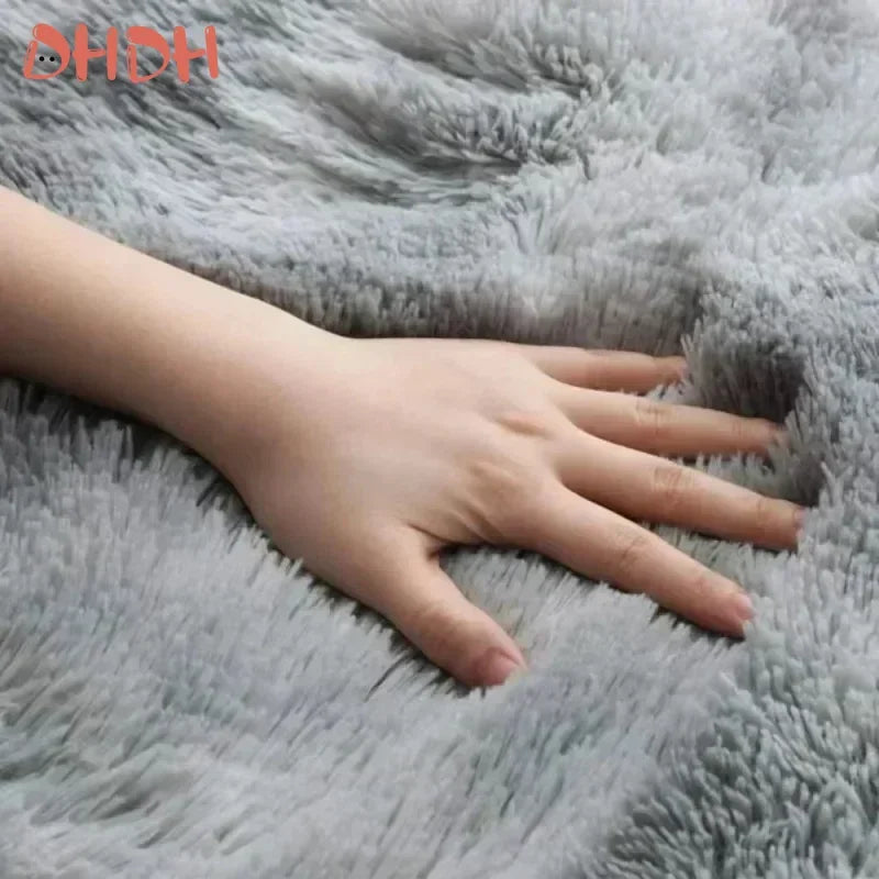Navak Carpet Soft Rugs for Bedroom Large Carpet for Living Room Fluffy Hall Sofa Area Rug Carpets Room Decor Plush Rugs for Children Play Mat