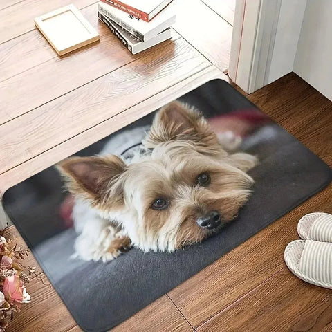 Navak Carpet 1PC Küchenteppich mit Charaktermuster, rutschfeste Fußmatten für Zuhause, Pop-Design, Badezimmerteppiche, Badematte, Teppich für Waschbecken, Wäschedekor