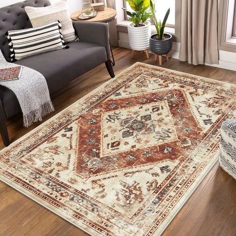 Navak Carpet Bohemian Persian Style Carpet for Living Room Retro Decoration Soft Bedroom Cloakroom Rugs Non-slip Entrance Door Mat Washable